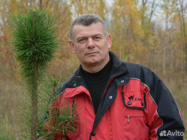 Ремонт стиральных машин, посудомоек, холодильников