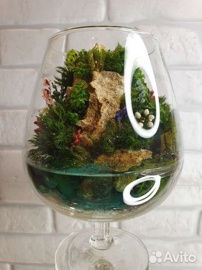 Флорариум суккуленты мох подарок