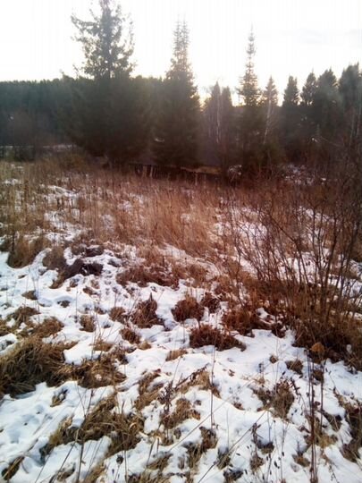 Участок 16,6 сот. (ИЖС)