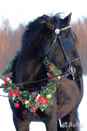 Постой для лошадей