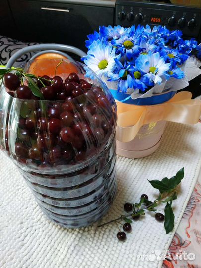 Вишня саженцы