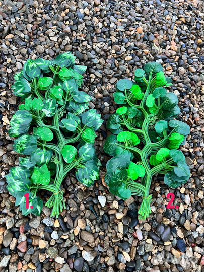 Искусственные растения для декора