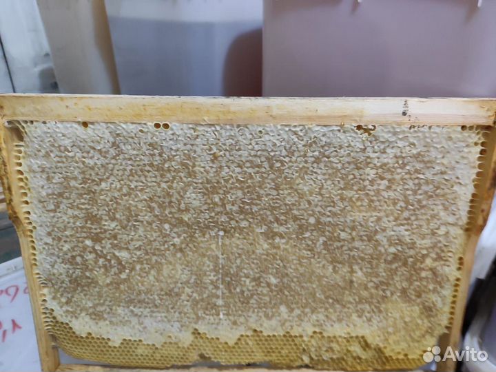 Мёд липа.акация.цветочный оптом от 100 кг