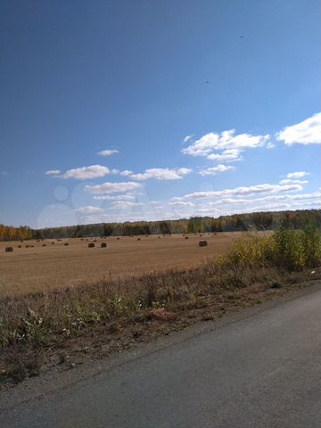 Участок 5,1 га (СНТ, ДНП)