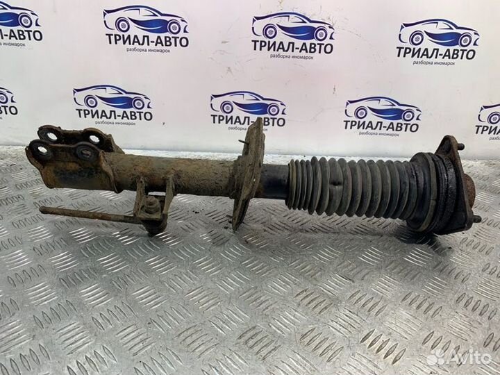 Амортизатор Sportage 3