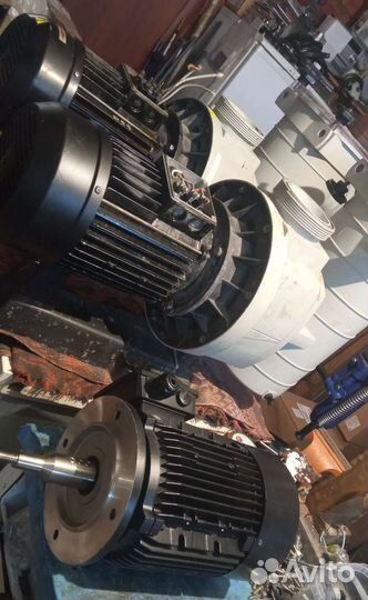 Kripsol Ondina Ninfa nk,OK,kapri KA, KAP, KS