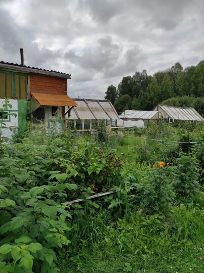 Участок 10 сот. (ИЖС)