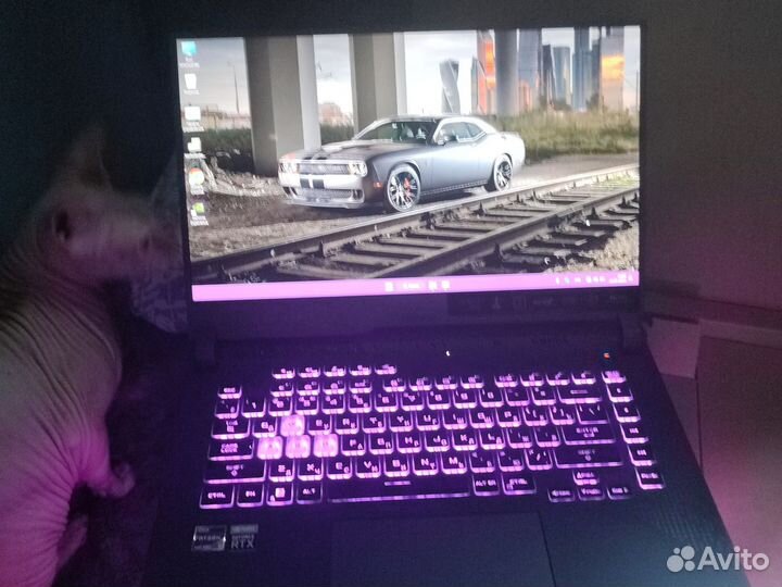 Ноутбук asus ROG strix