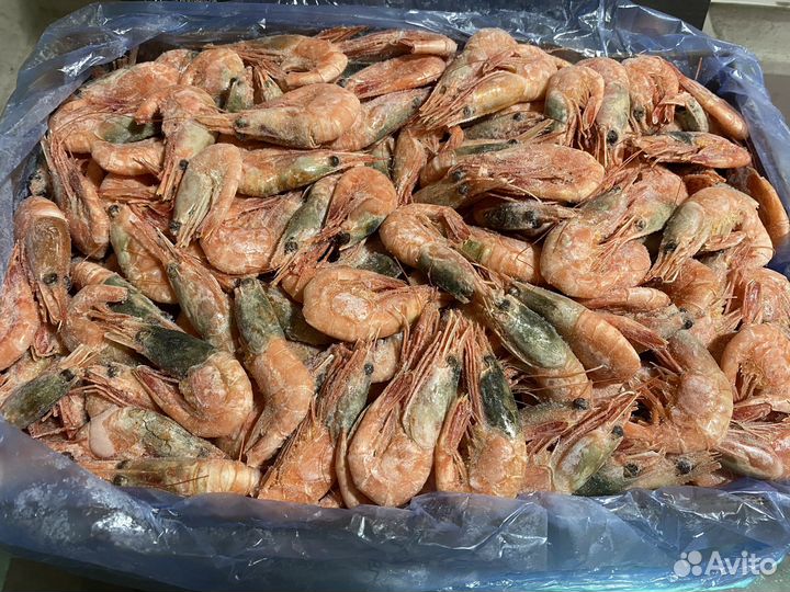 Креветка 90+
