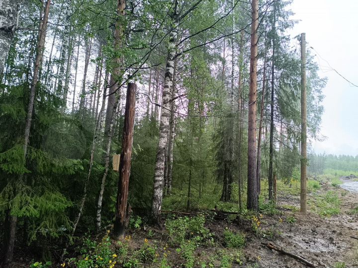 Участок 20 сот. (ИЖС)