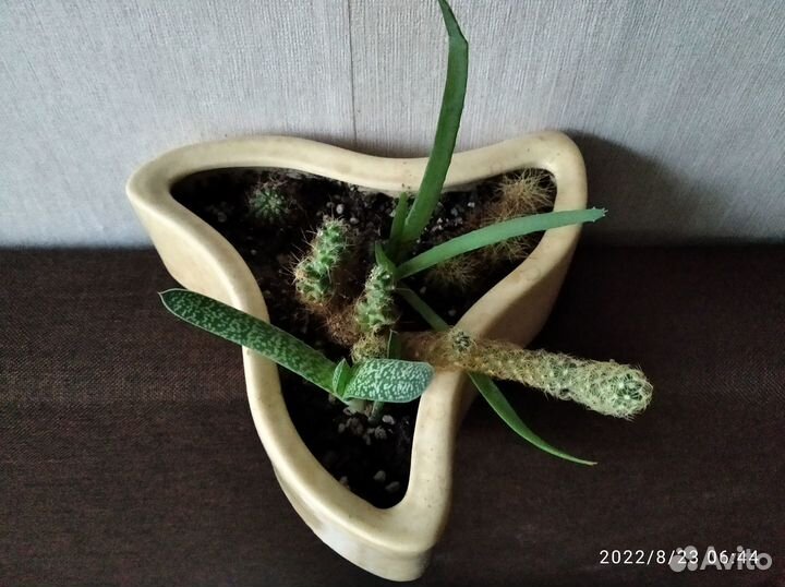 Кашпо горшок для цветов