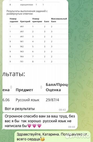 Репетитор по русскому языку и литературе