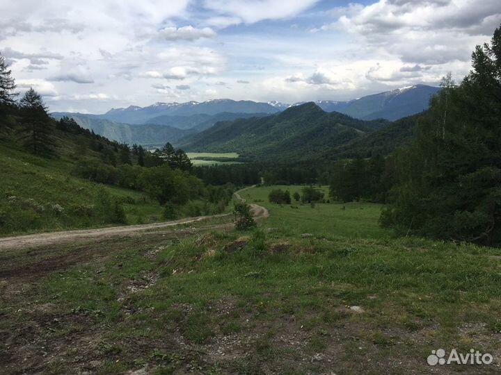 Красная гора. Автоэкскурсии, автотуры Алтай