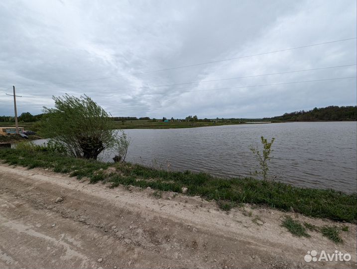 Платная рыбалка Пчела