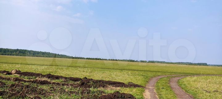 Участок 23,5 сот. (ИЖС)