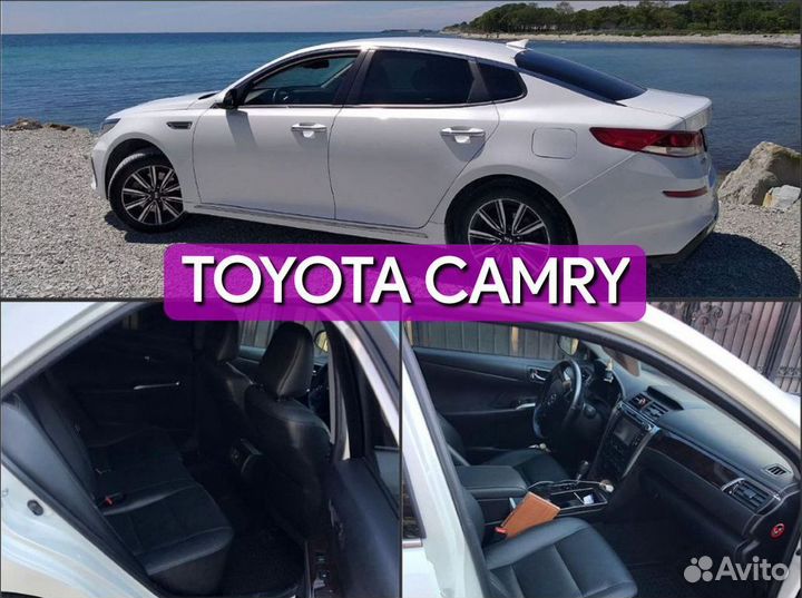 Трансфер комфорт Бетта, пассажирские перевозки