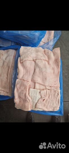 Шпик хребтовой