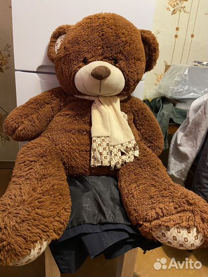 Плюшевый медведь
