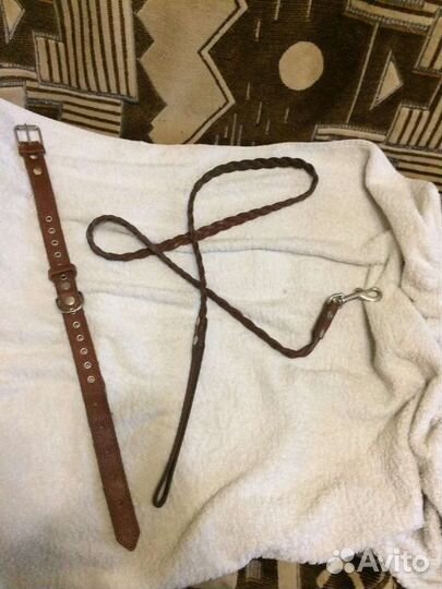 Ошейник для собак