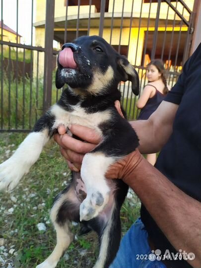 Ваш будущий друг здесь