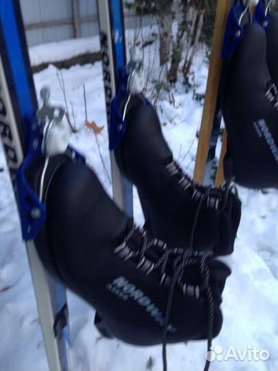 Беговые лыжи