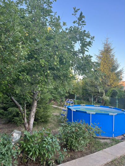 Дача 32,1 м² на участке 5,5 сот.