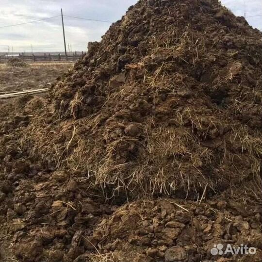 Навоз перегной