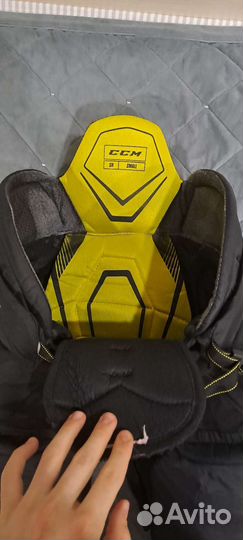 Хоккейные шорты ccm sr