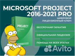 Project Pro 2016-2021 Ключи лицензионные