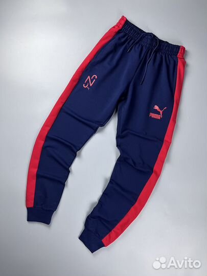 Спортивный Костюм Puma