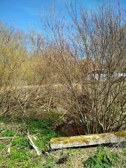 Участок 7 га (СНТ, ДНП)