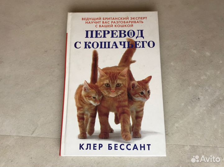 Перевод с кошачьего Клер Бессант