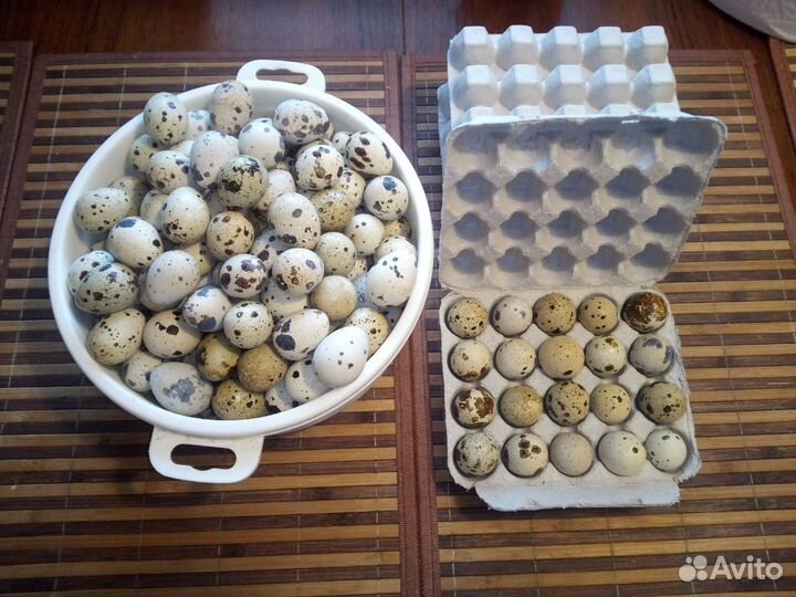 Яйца перепелиные
