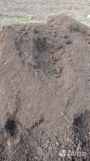 Перегной, навоз