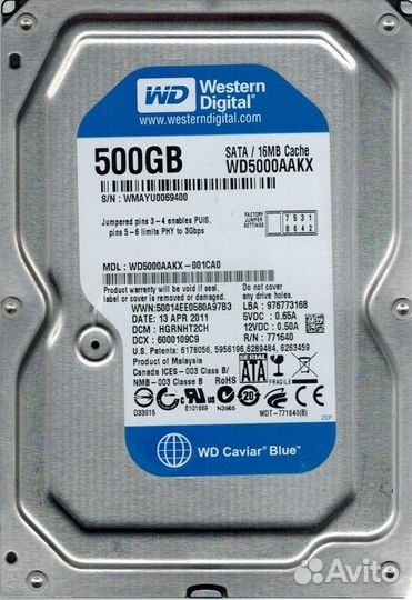 HDD WD 500 Gb