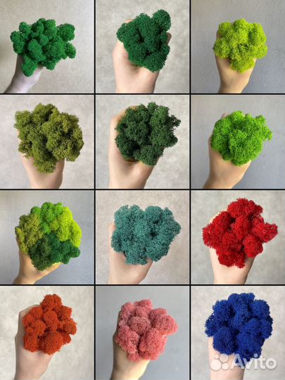 Эко-декор: стабилизированный мох, 500г, цвет Оранж