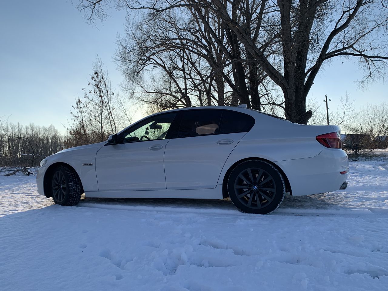 BMW 5 серия: фото владельца