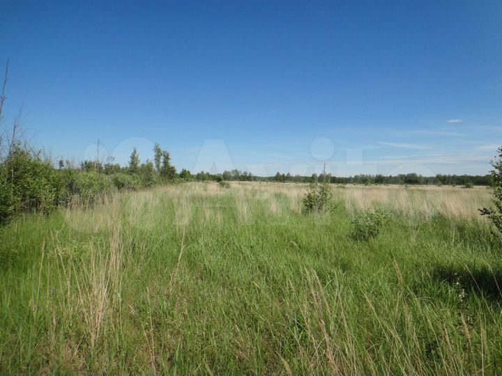 Участок 6 сот. (СНТ, ДНП)