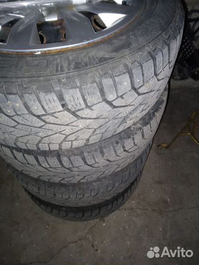 Gislaved Nord Frost 5 185/65 R15