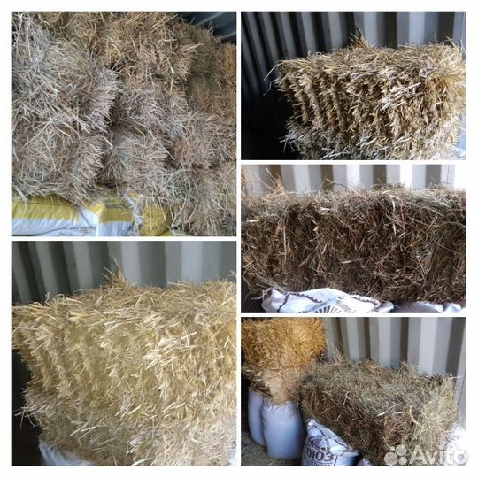 Зерно, Комбикорм, кормовые добавки