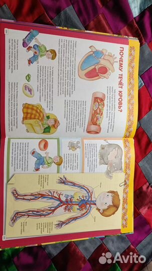 Первая энциклопедия для малышей