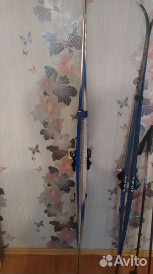 Беговые лыжи