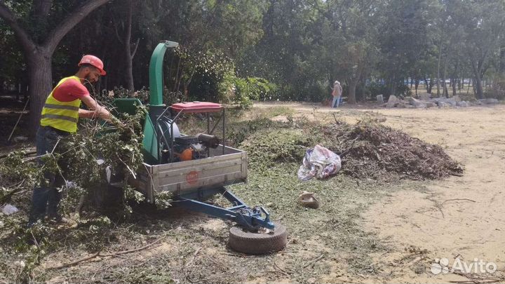 Измельчитель веток, щепорез аренда