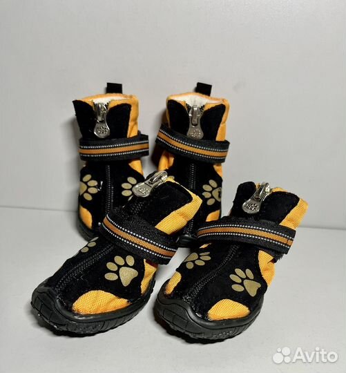 Обувь для собак