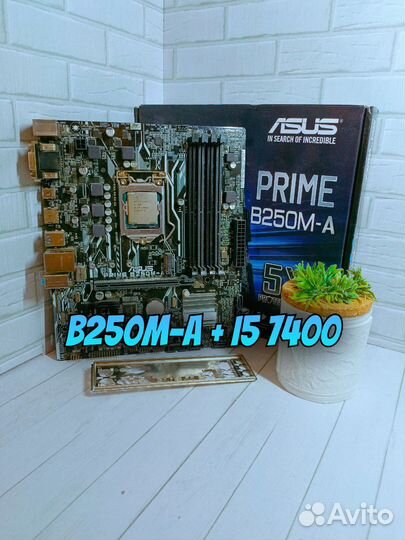 Asus B250M-A и I5 7400