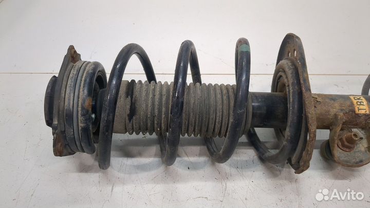 Амортизатор подвески правый передний Nissan Juke