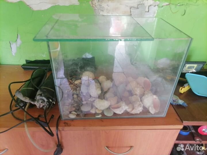 Аквариум