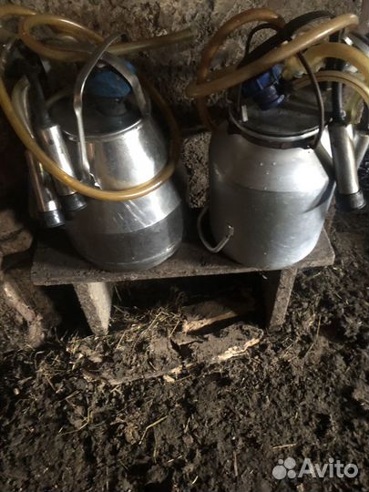 Доильный аппарат