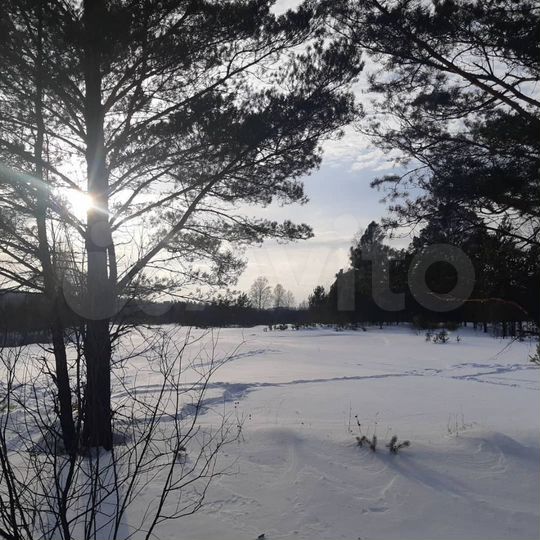 Участок 6 сот. (СНТ, ДНП)