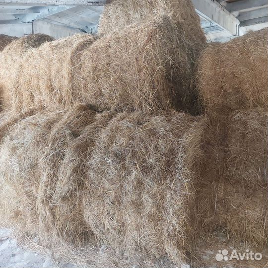 Сено в рулонах